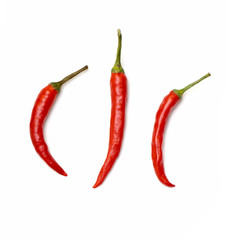 chilli
