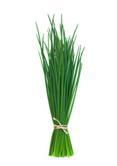Fresh chive on white background