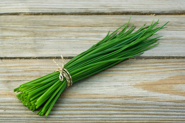 Chive