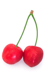 Sweet cherry