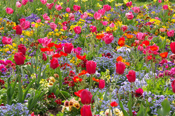Blumen