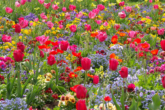Blumen