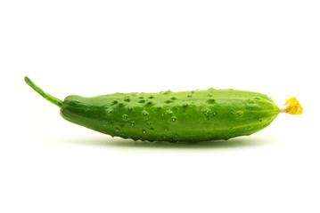 cucumbers