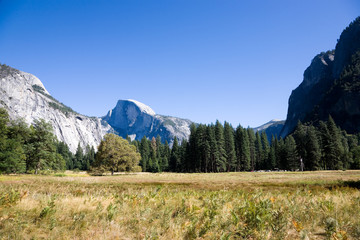 Half Dome Yosemite NP USA