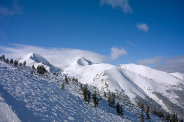 Fototapeta na wymiar Alpine ski slope at winter Bulgaria