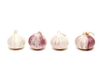 four garlics in a row
