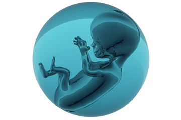 Foetus