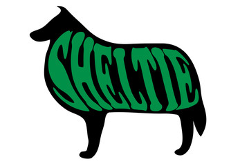 Sheltie