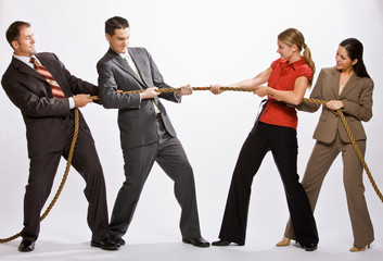 Fototapeta na wymiar Business people playing tug-of-war