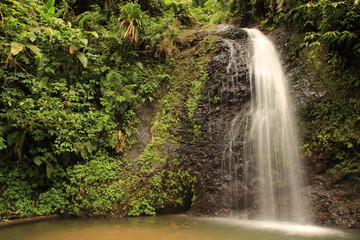 Little waterfall on Dominica in the Caribbean - 21093802