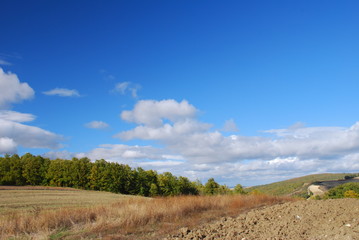 dry land