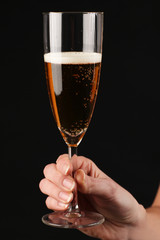 Champagner
