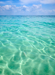 tropical beach