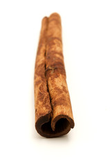Indonesian Cinnamon quill