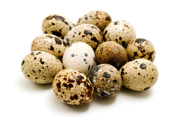 Quail eggs