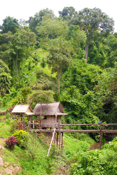 Bambushütte im Dschungel