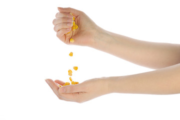 corn in hands