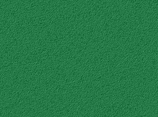 Fototapeta premium crépi vert