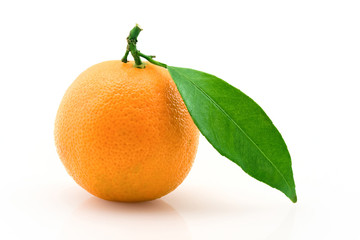 tangerine
