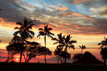 Fototapeta na wymiar Tropical Hawaiian Sunset