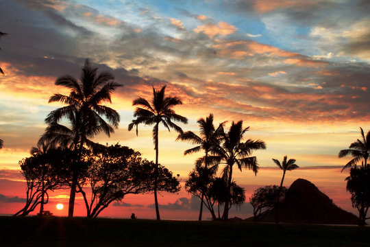 Tropical Hawaiian Sunset