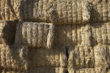 agriculture hay bale farming