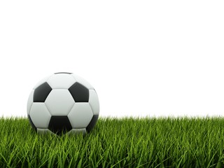 Fototapeta premium Black and white football on grass
