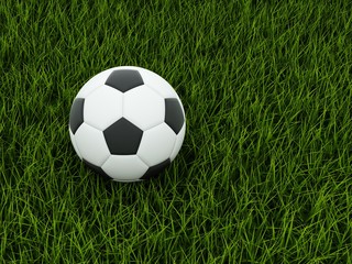 Fototapeta na wymiar Black and white football on grass