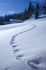 Fußspuren zu Berghütte