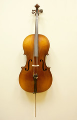 Fototapeta na wymiar portrait of a cello