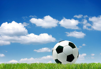 Fototapeta premium Fussball