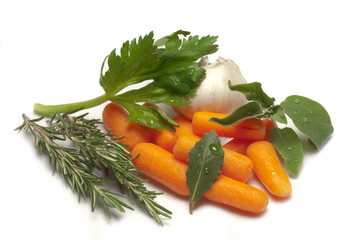 variety of vegetable ingredients
