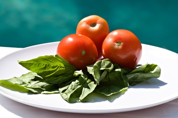 Three Tomatoes and Fresh Basil
