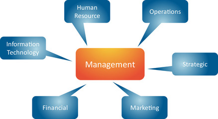 Management branches business diagram
