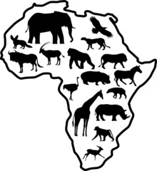 African animal