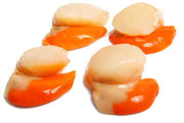 Corail Saint-Jacques