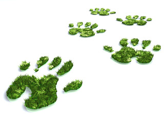 Naturheilmittel für seinen Körper