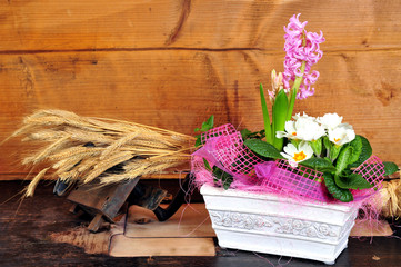 Getreide Holz Wohnung Blumen alt