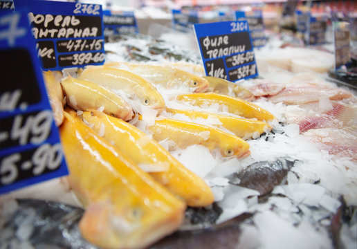 Yellow trout on fish market display