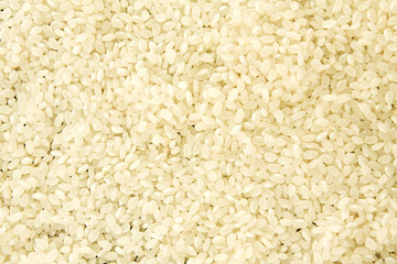 Rice Texture background