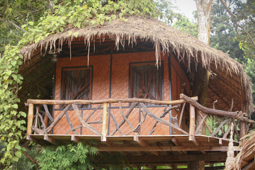 Hut in top of tree in jungle