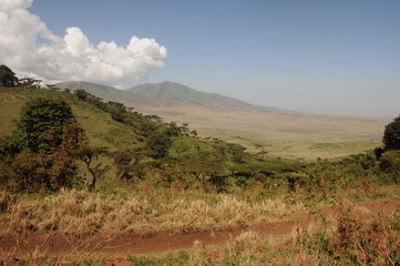 Serengeti