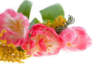 Bouquet of pink tulips and mimosa