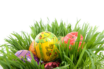 color easter eggs in nest from green grass on white