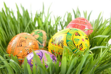 Fototapeta premium color easter eggs in nest from green grass on white