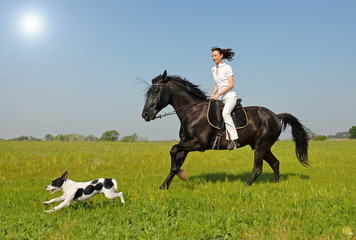 cavaliere et son chien