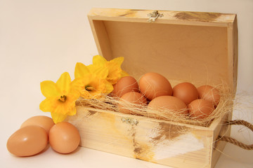 Jaja w kufrze i żonkile