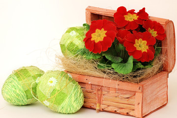 Czerwona prymulka w kuferku i zielone pisanki © DESIGN