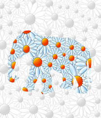 Obraz premium flower elephant