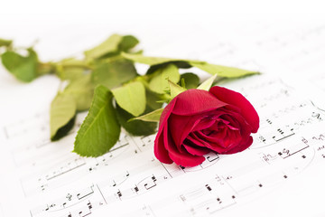 Musical score, and Rose